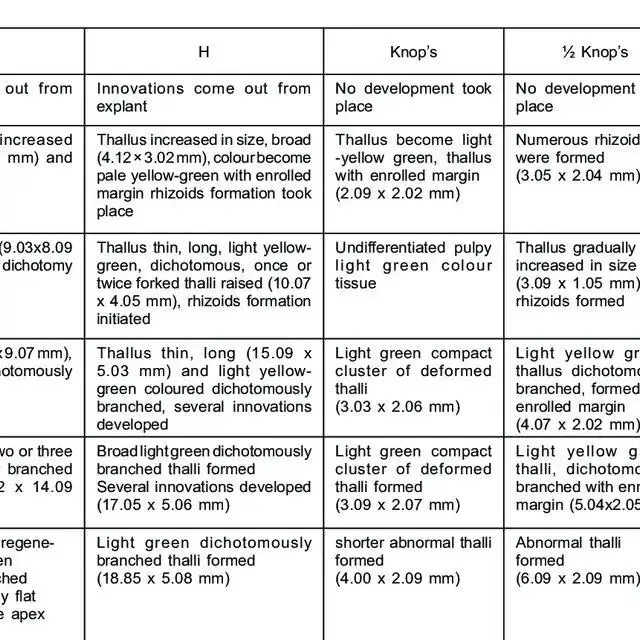 Morphological-response-and-thallus-development-of-Wiesnerella-denudata-Mitt-Steph-in_Q640.jpg