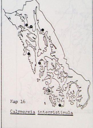 326px-Calypogeia_integristipula_map.jpg