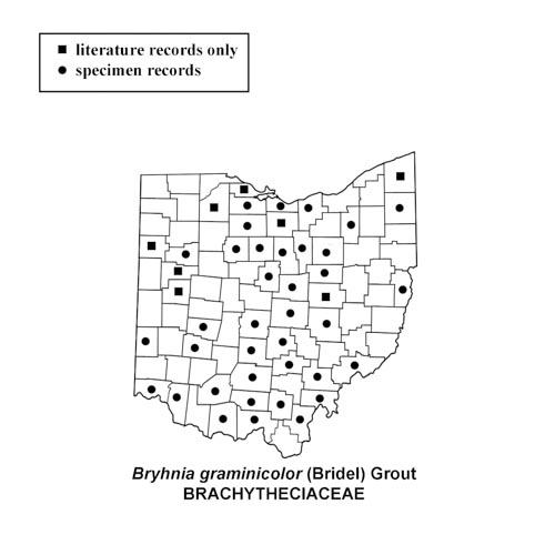 Bryhnia-graminicolor-simplemap.jpg