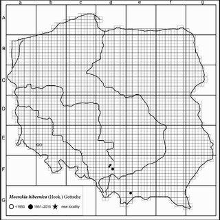 Current-distribution-of-Moerckia-hibernica-in-Poland_Q320.jpg