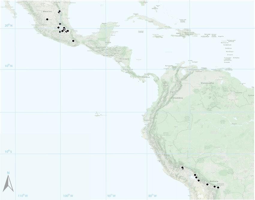 Distribution-map-of-Braunia-plicata-Mitt-A-Jaeger-Each-dot-is-one-of-the-specimens.jpg