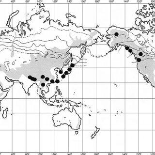 Distribution-of-Herbertus-aduncus-subsp-aduncus-based-on-examined-specimens_Q320.jpg