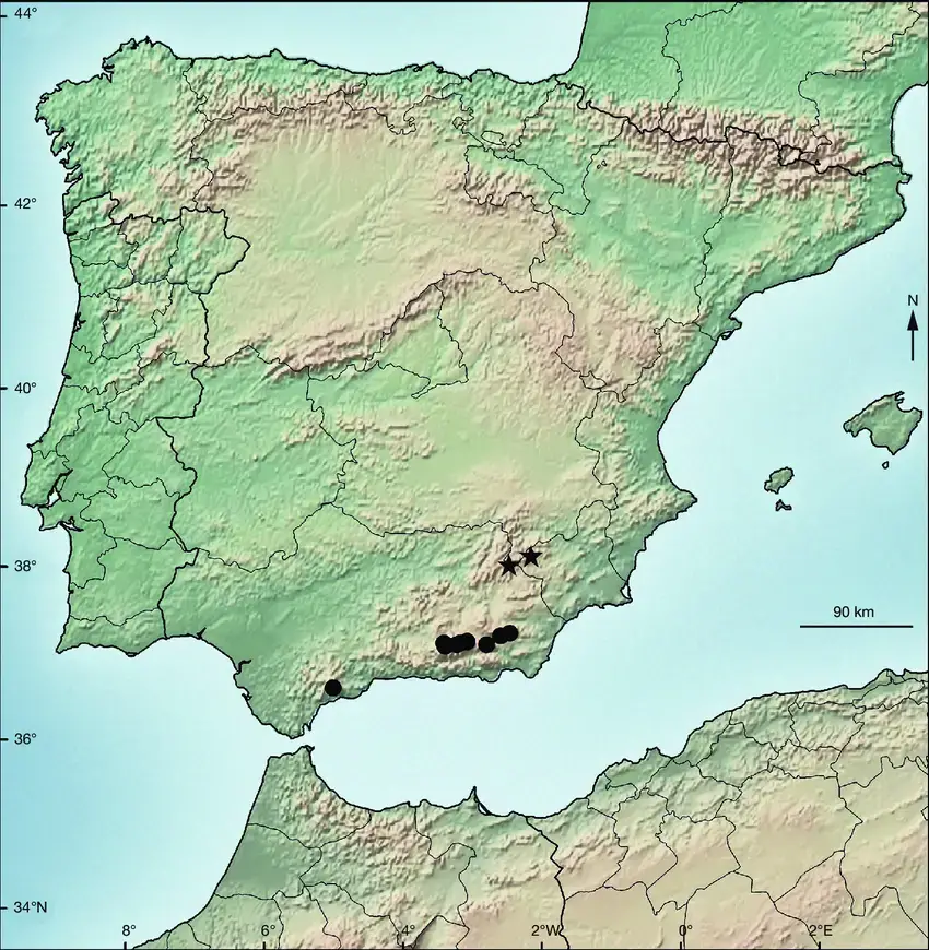 Distribution-of-Schistidium-brunnescens-Limpr-and-Schistidium-convergens-JGuerra.png