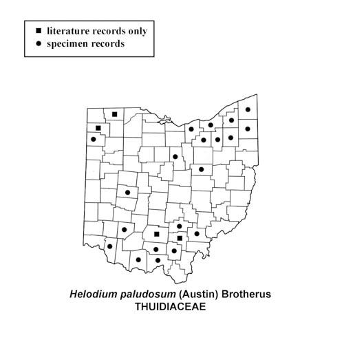 Helodium-paludosum-simplemap.jpg