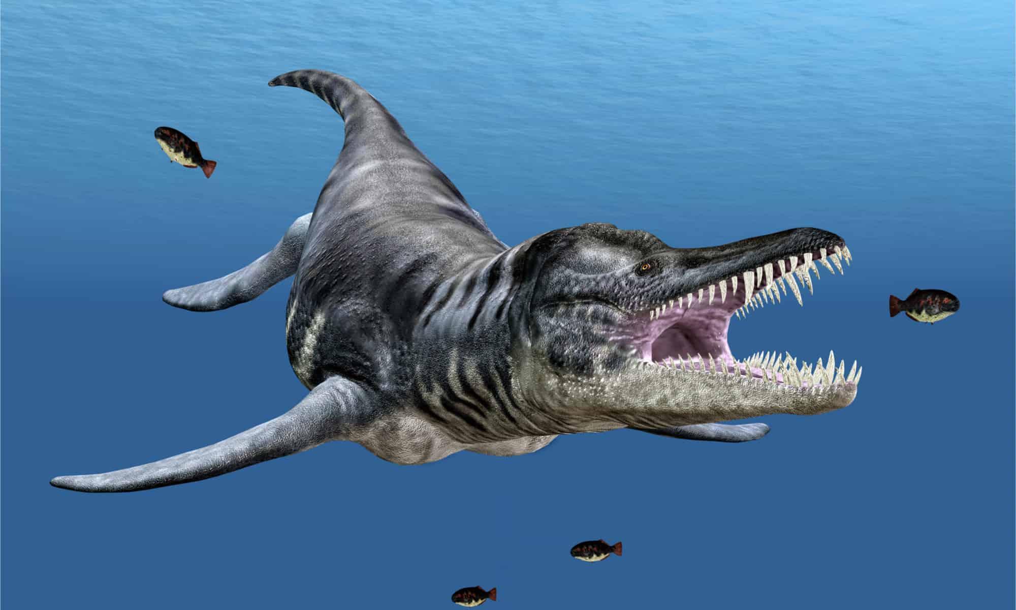 Liopleurodon-hunting.jpg