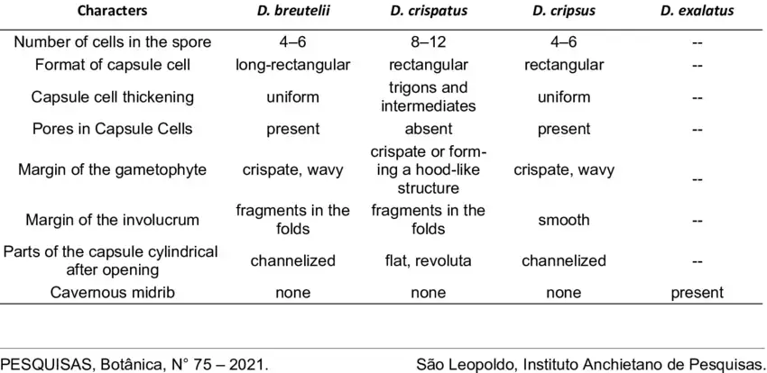 Morphological-comparison-of-the-four-Brazilian-species-of-Dendroceros-Nees.png