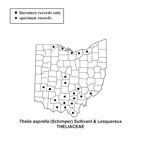 Thelia-asprella-simplemap.jpg