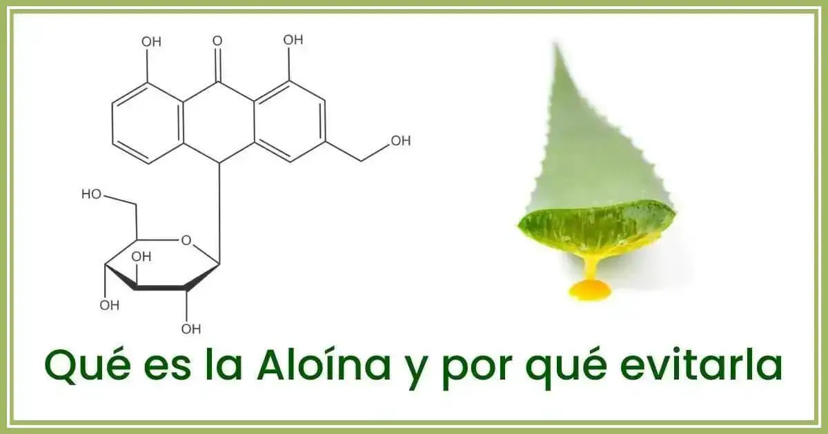 aloina-aloe.jpg