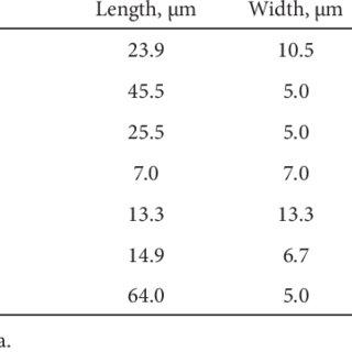 Dimensions-of-cells-with-different-types-of-papillae-The-lengths-and-widths-are-averages_Q320.jpg