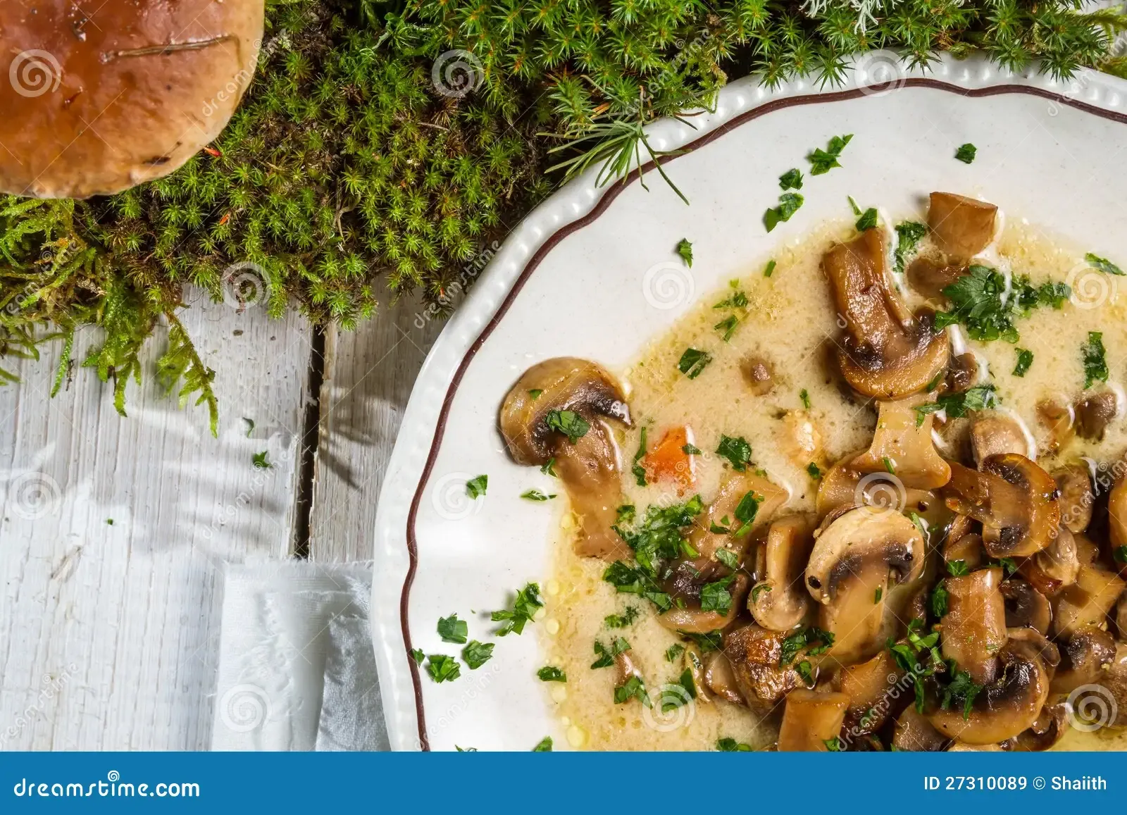 close-up-mushroom-soup-moss-forest-27310089.jpg