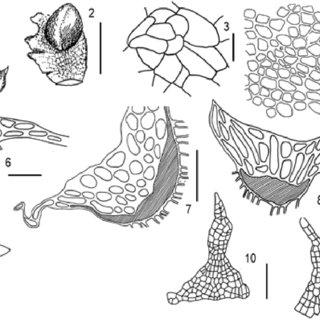 figure-fig1_Q320.jpg