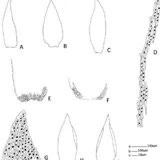 figure-fig1_Q320.jpg