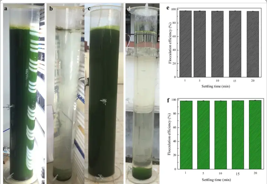 n-situ-bioflocculation-of-D-brasiliensis-with-the-broth-of-B-licheniformis-CGMCC-2876.png