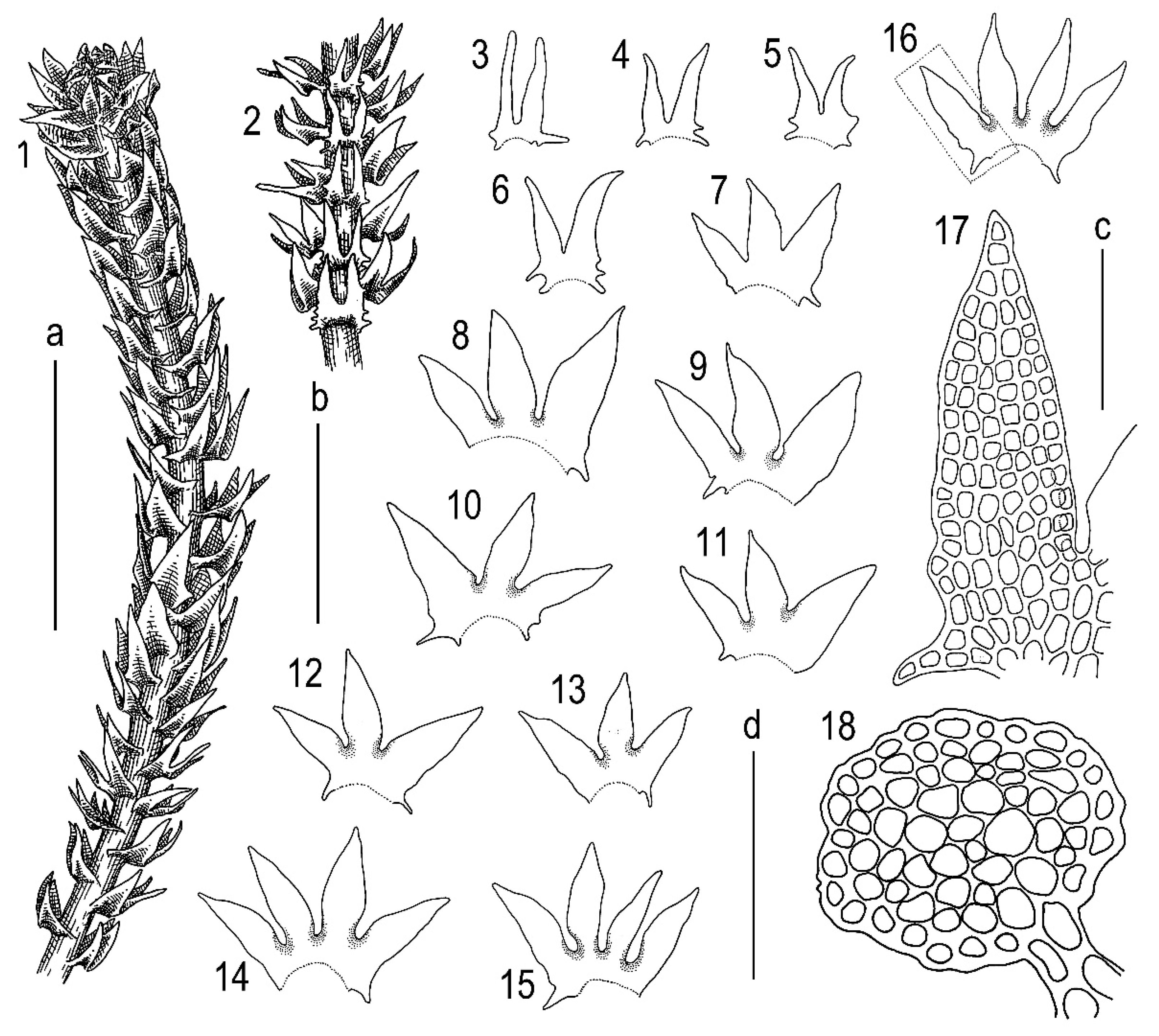 plants-11-03121-g003.png