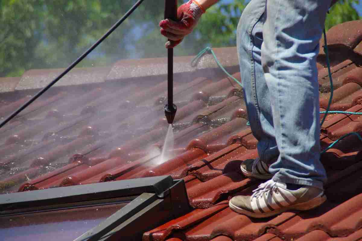 How To Remove Moss From A Roof With Vinegar?