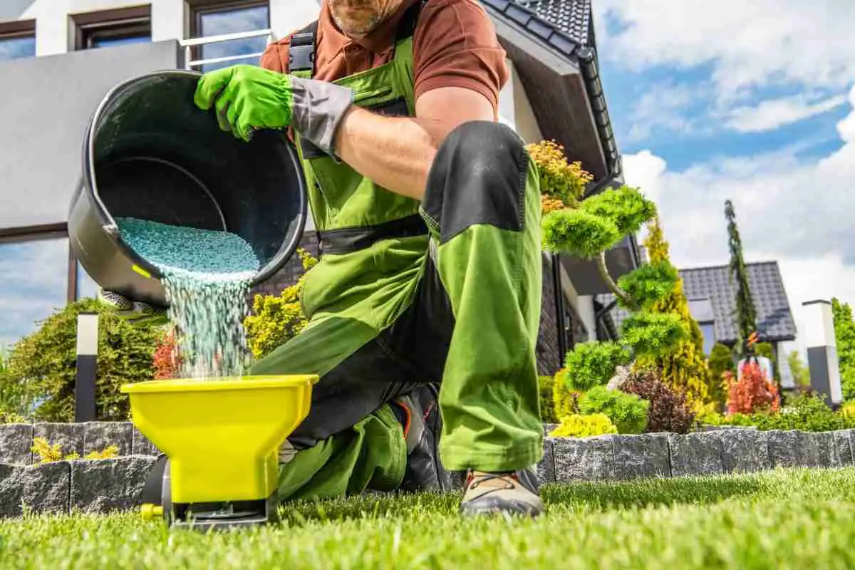 What Is The Best Time To Apply Moss Killer To The Lawn? Outdoor Moss