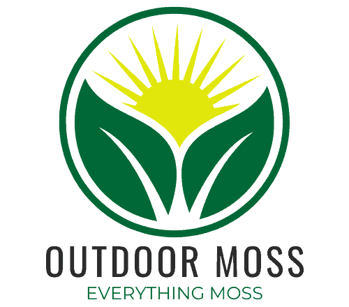 Outdoor Moss