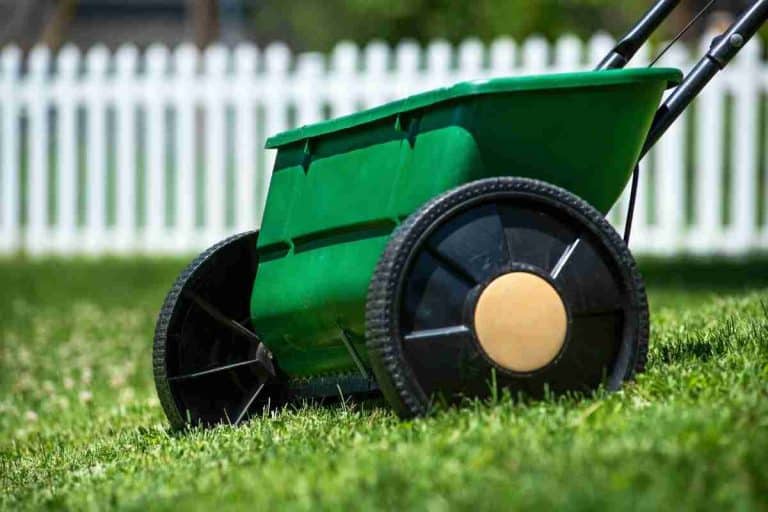 7 Peat Moss Spreaders: Perfect To Use On Lawns
