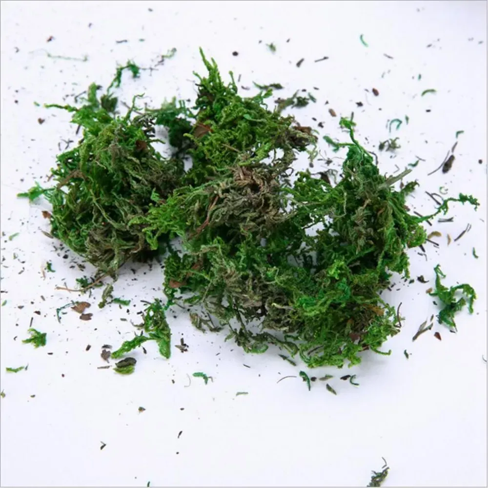 40g-lot-artificial-flower-green-moss-simulation-plant-turf-decoration-flower-arrangement-decoration-material-DIY-potted.jpg