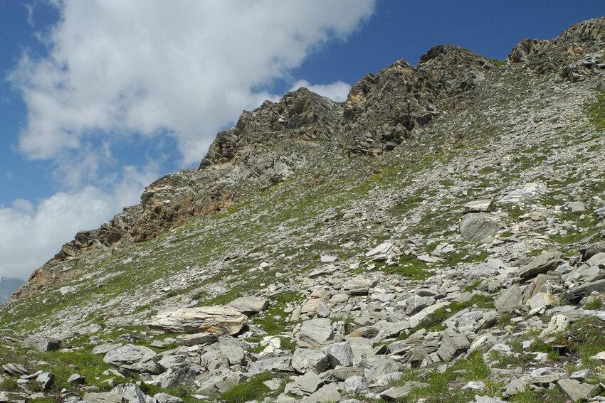 Abb-1-Lebensraum-von-Mannia-controversa-bei-Zermatt-auf-2760-m-ue-M-Foto-A.png