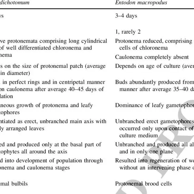 Comparative-account-of-protonemal-morphogenesis-and-growth-pattern-of-Bryum-dichotomum_Q640.jpg