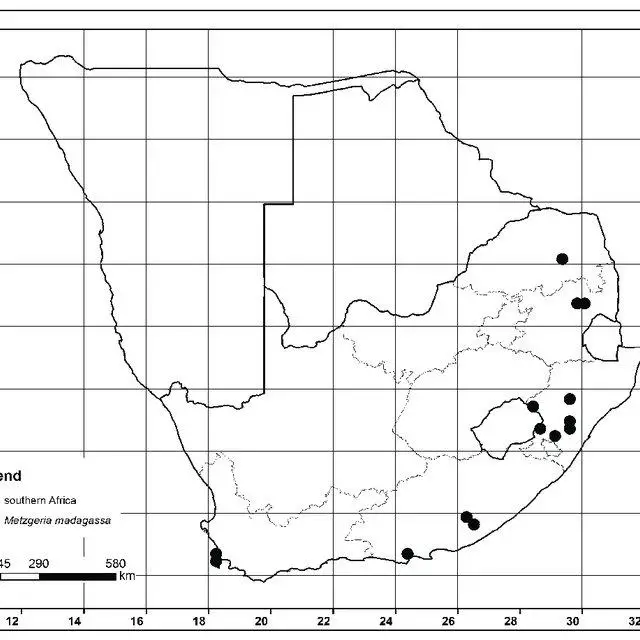 Distribution-map-of-Metzgeria-madagassa-Stephani-in-South-Africa_Q640.jpg