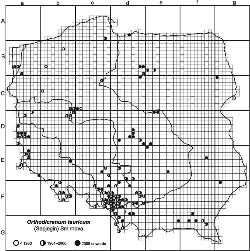 Distribution-of-Orthodicranum-tauricum-in-Poland.png