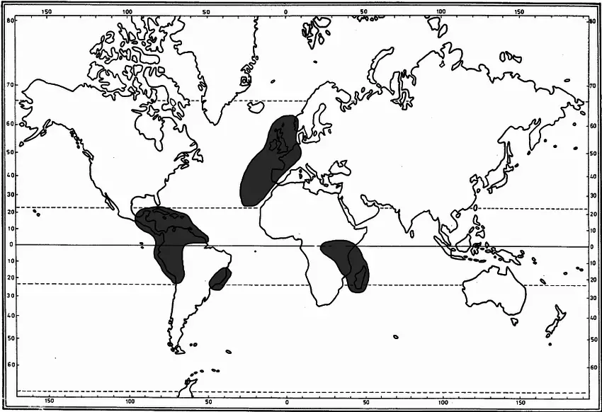 Distribution-of-Plagiochila-punctata-Taylor-Taylor.png