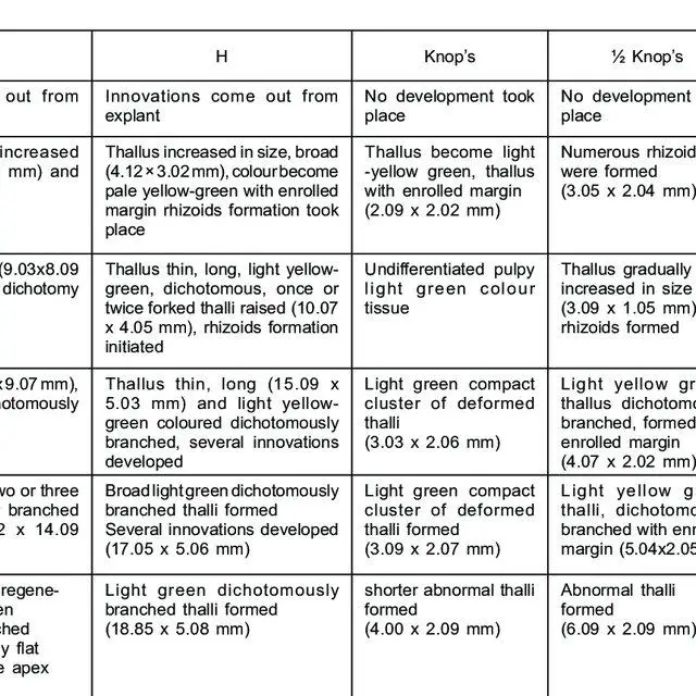 Morphological-response-and-thallus-development-of-Wiesnerella-denudata-Mitt-Steph-in_Q640.jpg