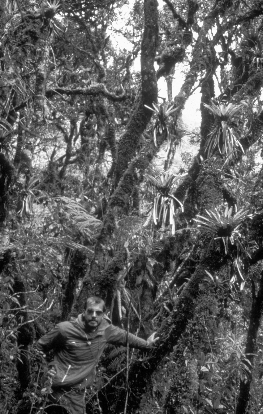 Prof-J-P-Frahm-in-the-interior-of-a-tropical-montane-forest-rich-in-epiphytes-Above.png