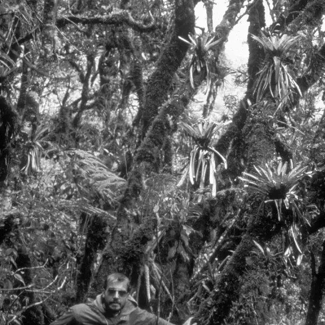 Prof-J-P-Frahm-in-the-interior-of-a-tropical-montane-forest-rich-in-epiphytes-Above_Q640.jpg