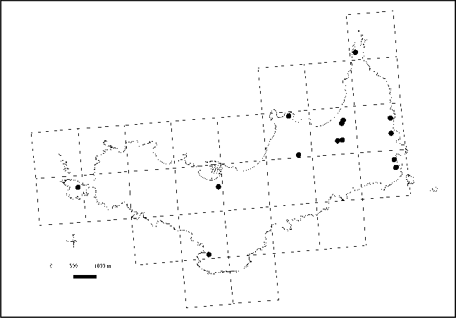 Repartition-de-Pottia-intermedia-Turner-Fuernr-a-Porquerolles.png