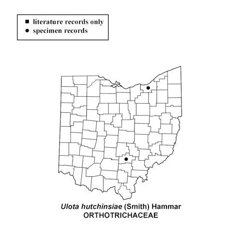 Ulota-hutchinsiae-simplemap.jpg