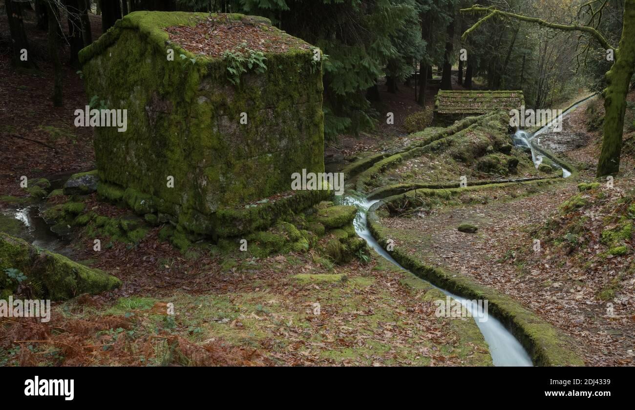 abandoned-moss-covered-water-mills-and-a-small-water-canal-in-moinhos-de-rei-cabeceiras-de-basto-portugal-2DJ4339.jpg