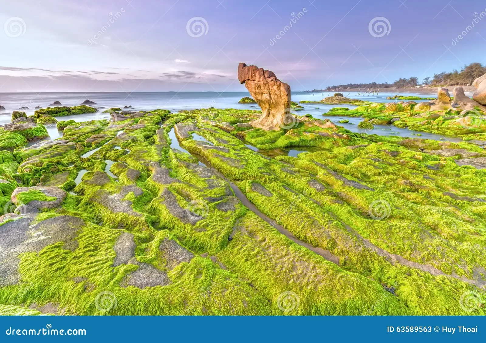 beach-moss-dawn-co-thach-bai-path-mossy-rocks-algae-led-to-large-stone-overlooking-sea-as-catch-beautiful-day-63589563.jpg