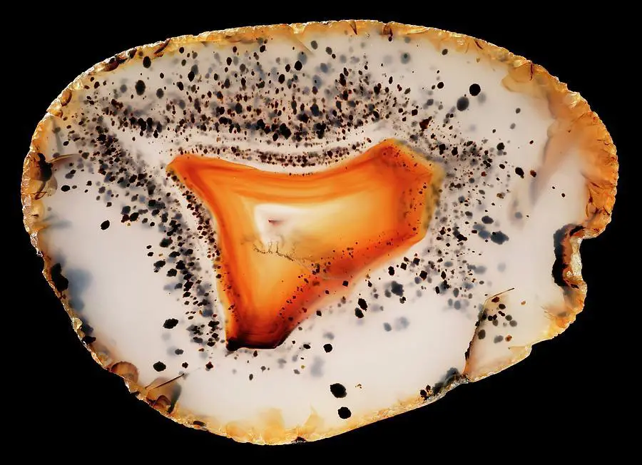 montana-moss-agate-natural-history-museum-londonscience-photo-library.jpg