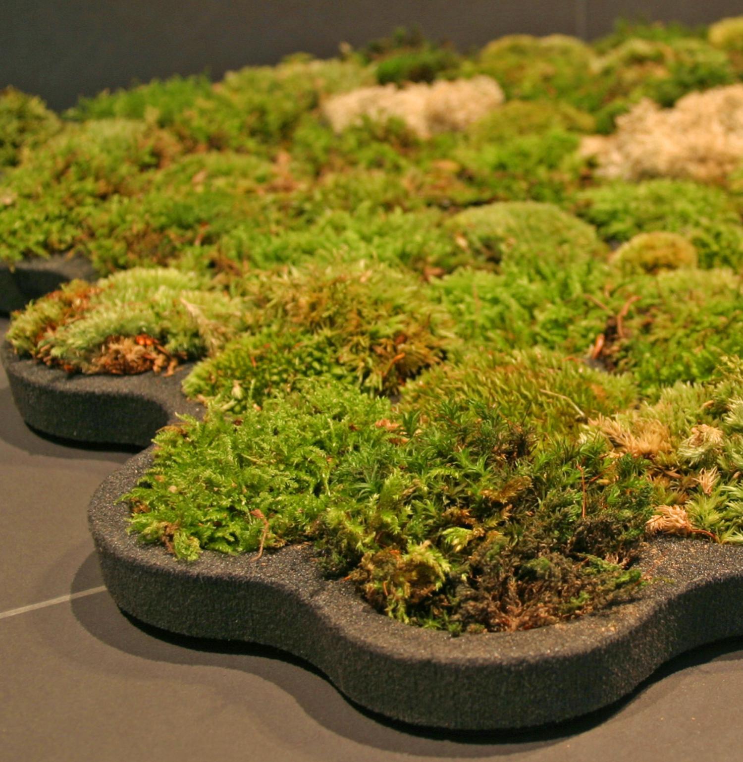 moss-bathroom-mat-3655.jpg