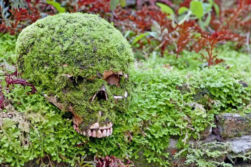 skull-moss-green-grow-44528964.jpg