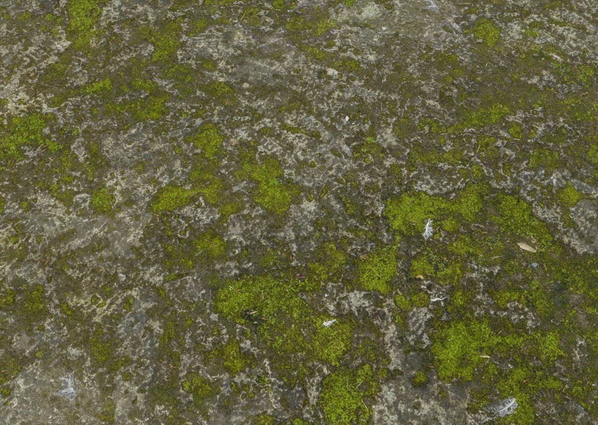 stone-moss-3d-model-sbsar.jpg
