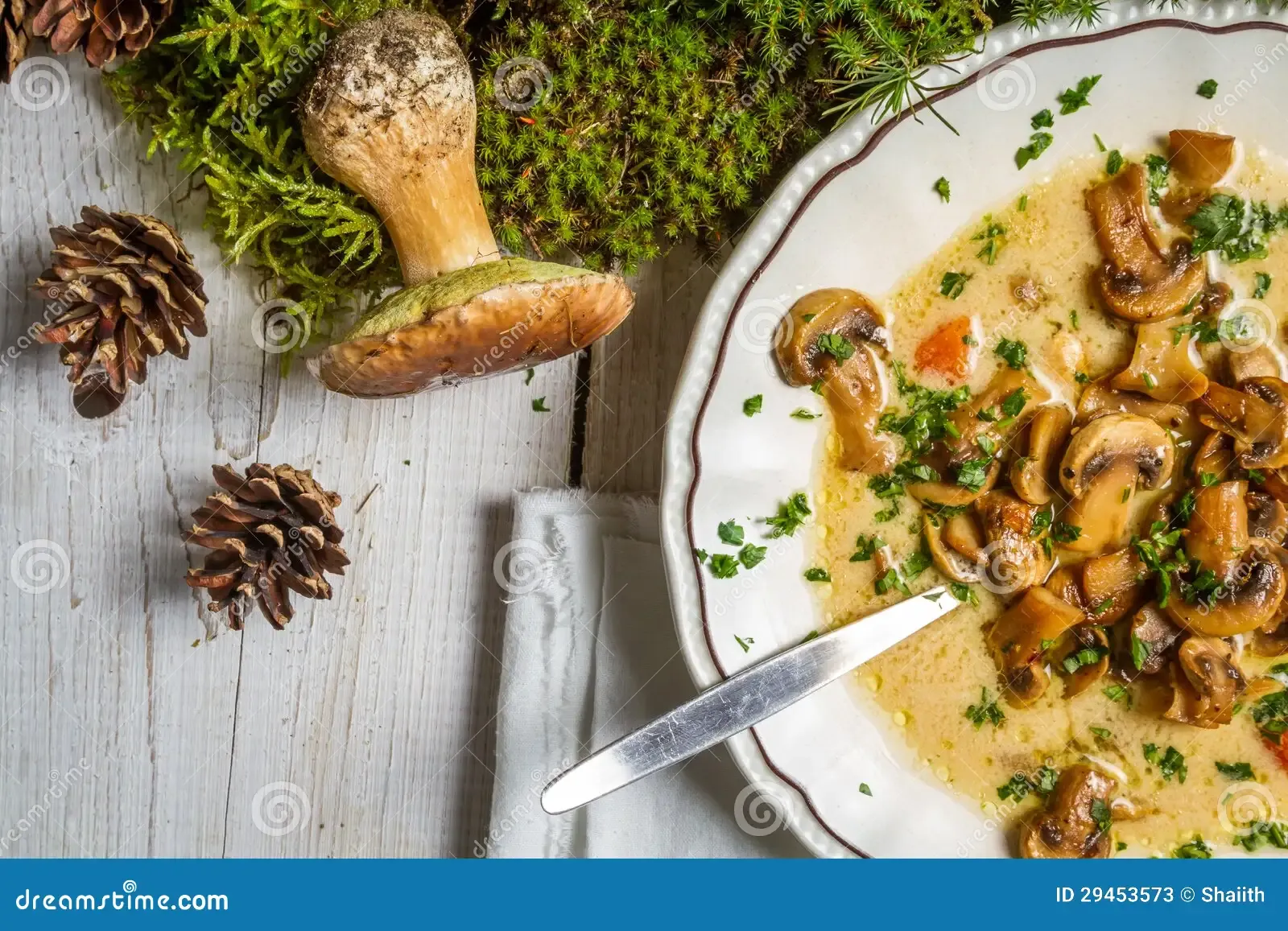 wild-mushroom-soup-moss-forest-29453573.jpg