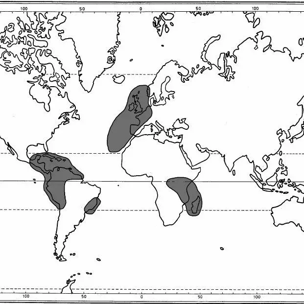 Distribution-of-Plagiochila-punctata-Taylor-Taylor_Q640.jpg